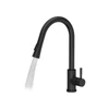 Kép 4/6 - Quadron Julia íves csaptelep zuhanyfejjel pure carbon 1374