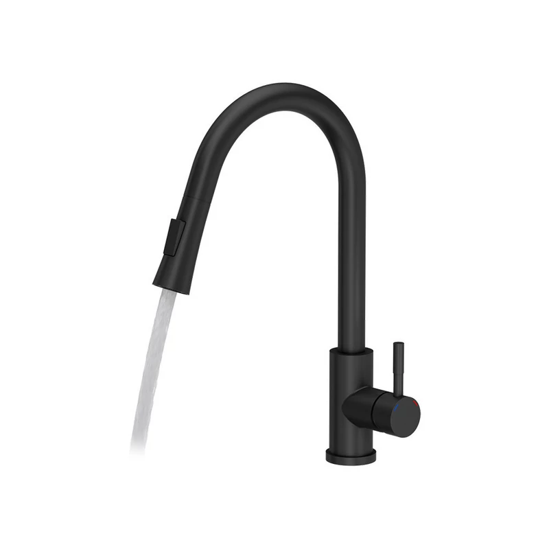 Quadron Julia íves csaptelep zuhanyfejjel pure carbon 1374