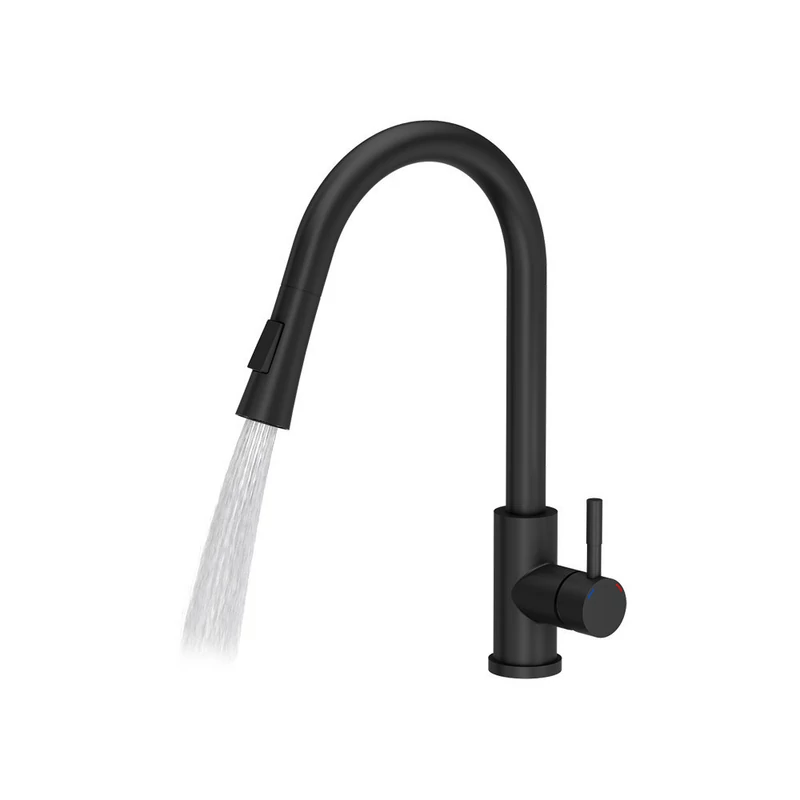 Quadron Julia íves csaptelep zuhanyfejjel pure carbon 1374
