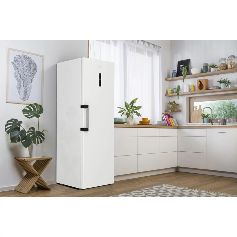 GORENJE R619DAW6 Hűtőszekrény